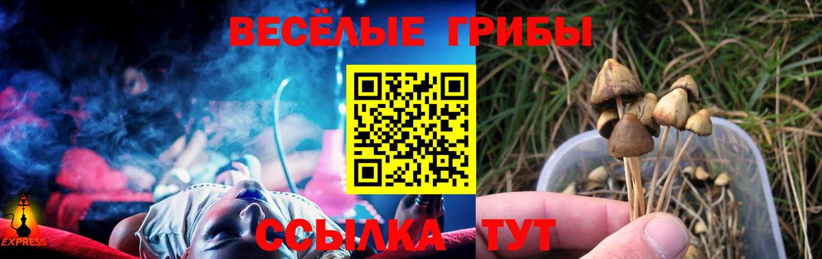 Псилоцибиновые грибы прущие грибы Малоярославец