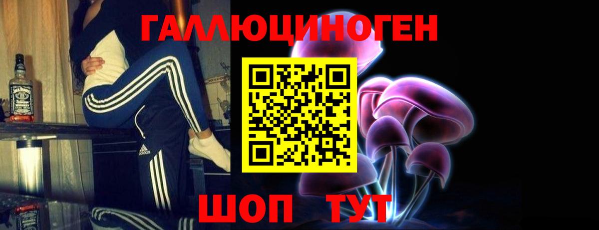 Псилоцибиновые грибы Psilocybe  Вход с VPN  Малоярославец 